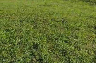 Vende-se 15 alqueires em  união de minas - mg /  a 11 km da cidade e do asfalto