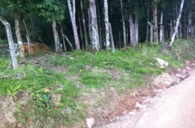 Chácara / sítio à venda na Rua Louis Roberti, S/N, Alsacia, Guabiruba