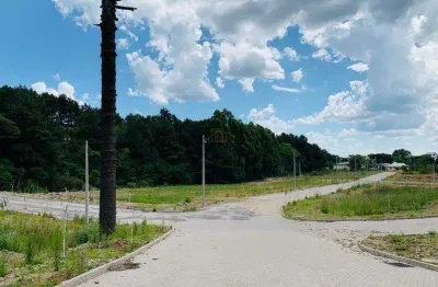 Terreno à venda na Alameda Da Colina, 40F, Brasilia, Garibaldi