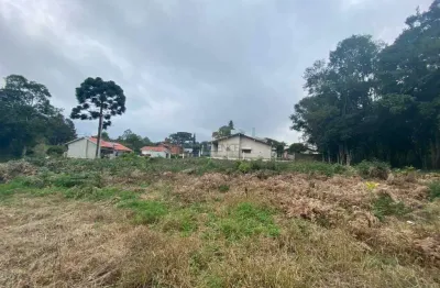 Terreno à venda na Rua Plauto de Abreu, Santo Antão, Bento Gonçalves