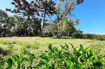 Terreno à venda na Rua Ernesto Alves, Juventude, Garibaldi
