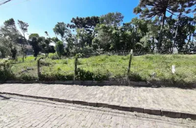 Terreno à venda na Rua Ernesto Alves, Juventude, Garibaldi