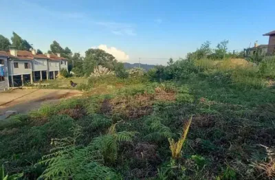 Terreno à venda na Interior, 03, Zona Rural, Barão