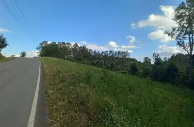 Terreno à venda na Desvio Machado, o, Zona Rural, Carlos Barbosa