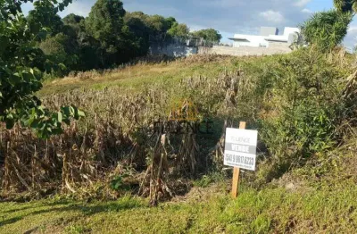 Terreno à venda na Rua Rosalina Canal Baldasso, São Paulo, Carlos Barbosa