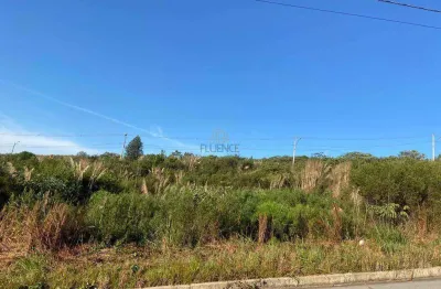 Terreno à venda na Linha Pinheiro, 37, Cruzeiro, Bento Gonçalves