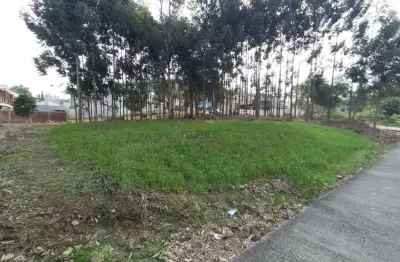 Terreno à venda, universitário - bento gonçalves/rs