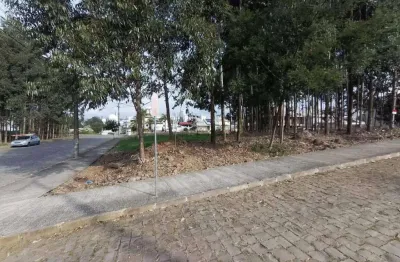 Terreno à venda, universitário - bento gonçalves/rs