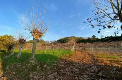 Terreno à venda na Santa Tereza, s, Centro, Santa Tereza