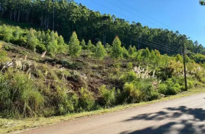 Terreno à venda na Linha Wilmsen, Zona Rural, Barão