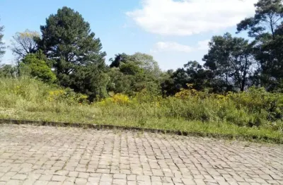 Terreno à venda na Rua Projetada A, 17, Borghetto, Garibaldi