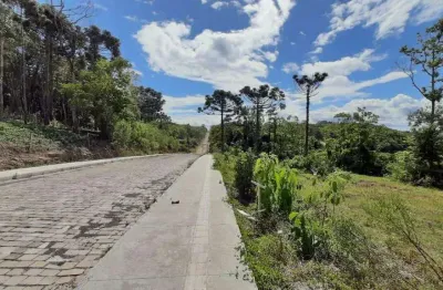 Terreno à venda na Rua Barão Do Triunfo, lote 5, Chácaras, Garibaldi