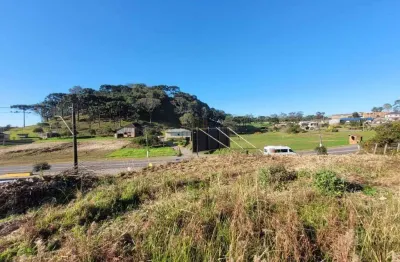 Terreno à venda na Rua Buarque de Macedo, 180, São Paulo, Carlos Barbosa