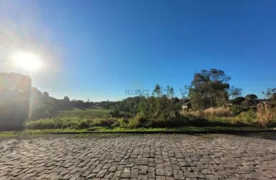 Terreno à venda na Rua Buarque de Macedo, 180, São Paulo, Carlos Barbosa