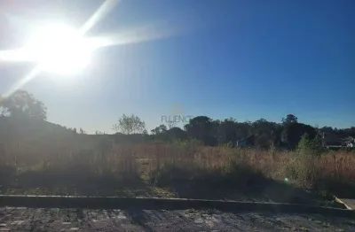 Terreno à venda na Rua Buarque de Macedo, 180, São Paulo, Carlos Barbosa