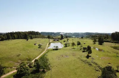 Chácara / sítio à venda na Linha Peasi, Nova Sardenha (Distrito), Farroupilha
