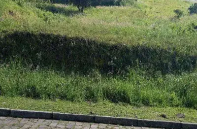 Terreno à venda na Ampélio Carlotto, 23, Aurora, Carlos Barbosa