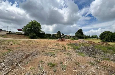 Área comercial à venda, desvio machado - carlos barbosa/rs