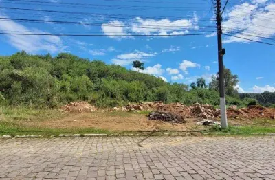 Terreno à venda na Rua Francisco D'arrigo, 451, Aparecida, Carlos Barbosa