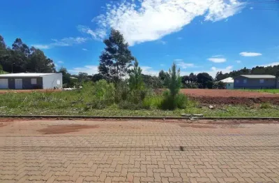 Terreno à venda na Loteamento Nona Regina, 03, Alfândega, Garibaldi