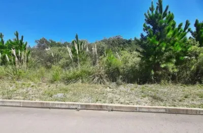 Terreno à venda na Loteamento Nona Regina, 37, Alfândega, Garibaldi