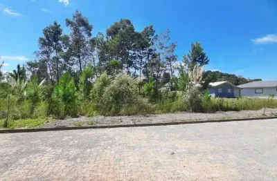 Terreno à venda na Loteamento Nona Regina, 32, Alfândega, Garibaldi