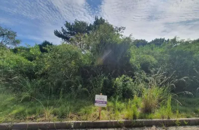 Lindo terreno no santo antão lote 135 loteamento reserva das araucárias