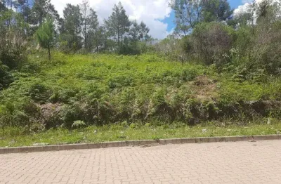 Terreno à venda na Rua Anésio Edwino Piccinini, 100, Alfândega, Garibaldi