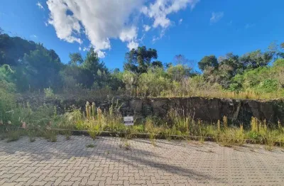Lindo terreno no loteamento reserva das araucárias no santo antão