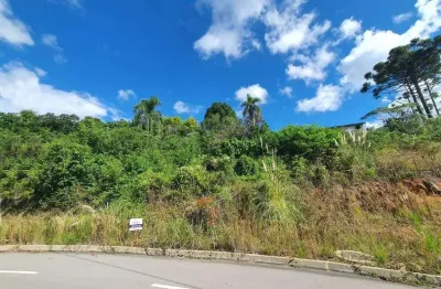 Terreno à venda na Rua Plauto de Abreu, 00, Santo Antão, Bento Gonçalves