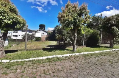 Terreno à venda na Rua Francisco Lanaro, lote 10, Brasilia, Garibaldi