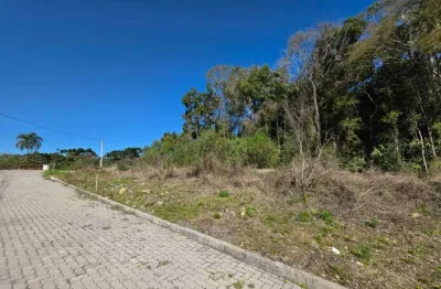Lindo terreno plano loteamento reserva das araúcarias no santo antão