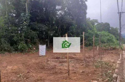 Terreno à venda, 377 m² por r$ 260.000,00 - massaguaçu - caraguatatuba/sp