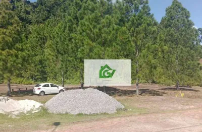 Área à venda, 8626 m² por r$ 3.600.000,00 - getuba - caraguatatuba/sp