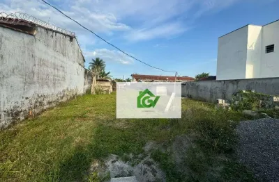 Área à venda, 1000 m² por r$ 1.000.000,00 - porto novo - caraguatatuba/sp