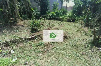 Terreno à venda, 490 m² por r$ 350.000,00 - jardim das gaivotas - caraguatatuba/sp