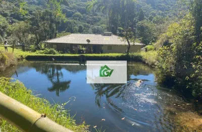 Sítio com 4 casas à venda, 242.000 m² por r$ 1.500.000 - horto - ubatuba/sp