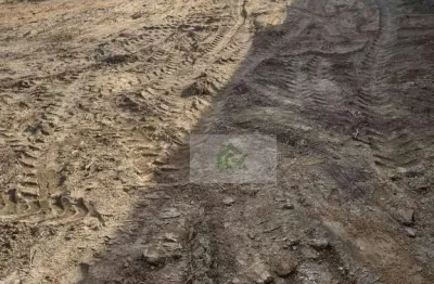 Terreno para alugar, 900 m² por r$ 3.000,00/mês - praia das palmeiras - caraguatatuba/sp
