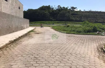 Terreno à venda, 260 m² por r$ 270.000,00 - jardim capricórnio - caraguatatuba/sp