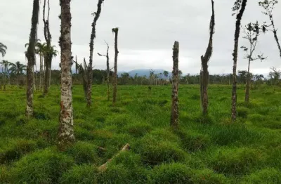 Área à venda, 30000 m² por r$ 1.900.000,00 - barranco alto - caraguatatuba/sp