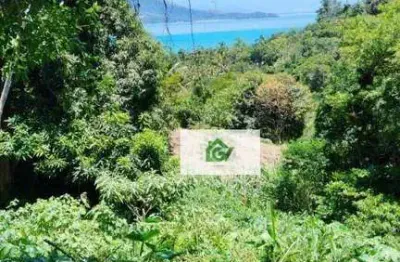 Terreno à venda, 983 m² por r$ 900.000,00 - siriúba - ilhabela/sp
