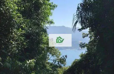 Terreno à venda, 1000 m² por r$ 700.000,00 - feiticeira - ilhabela/sp