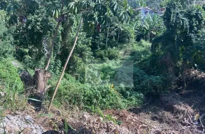 Terreno à venda, 456 m² por r$ 230.000 - s f praia - são sebastião/sp