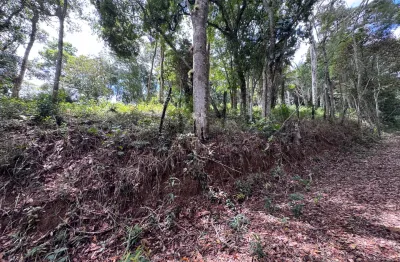 Terreno à venda na Avenida Comandante Hilton Machado, S/N, Fazenda Boa Fé, Teresópolis