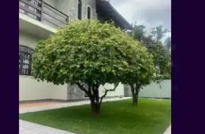 Casa em condomínio fechado com 4 quartos à venda na servidão corintians, pantanal, florianópolis, 400 m2 por r$ 1.595.000