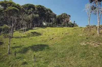 Terreno em condomínio fechado à venda em varginha, santo amaro da imperatriz , 1776 m2 por r$ 365.000