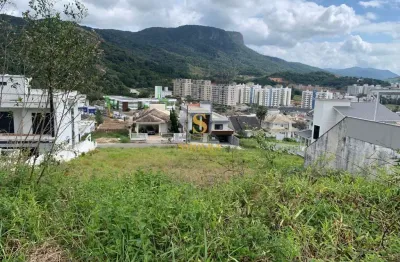 Terreno em condomínio fechado à venda na rua dos tiés, pedra branca, palhoça, 490 m2 por r$ 780.000