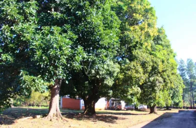 Terreno comercial à venda no sousas, campinas  por r$ 5.450.000