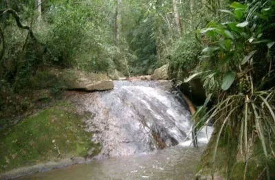 Chácara / sítio com 1 quarto à venda na estrada pedreira km 8, km 7, sousas, campinas, 20000 m2 por r$ 1.500.000