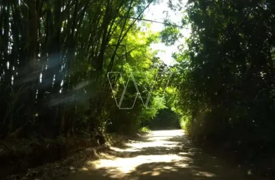 Chácara / sítio com 1 quarto à venda na estrada pedreira km 8, km 7, sousas, campinas, 107000 m2 por r$ 2.500.000